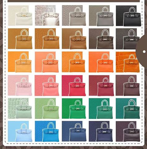 hermes birkin etoupe color|Altro.